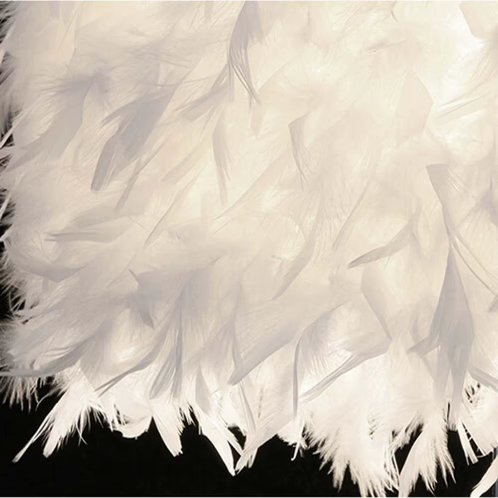 Bedside Reading Room Sitting Room Heart Shape Feather Crystal Table Lamp for Bedroom Light Art Deco Home Planetarium